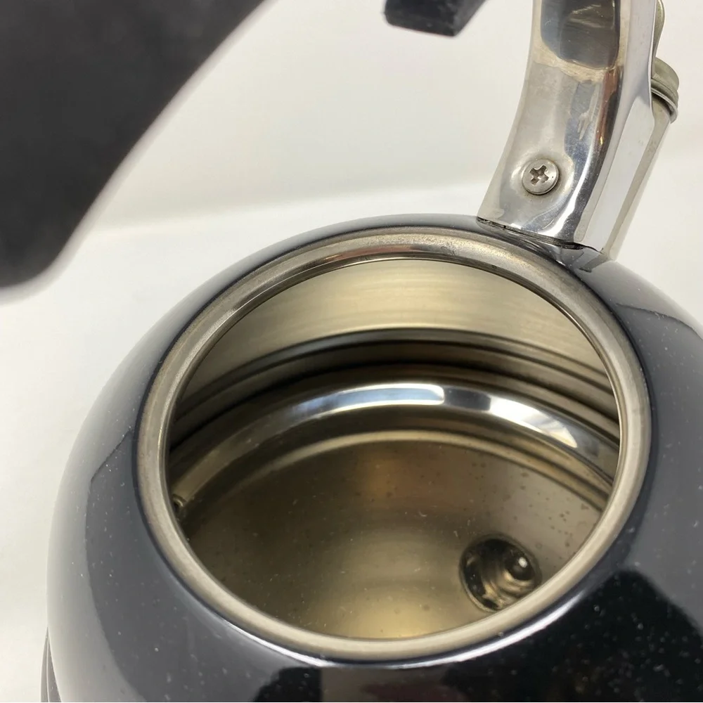 Whistling Kettle 2.7 QT/25L Stovetop‎ Black Stainless Steel